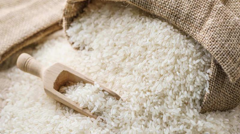 Rice Rice