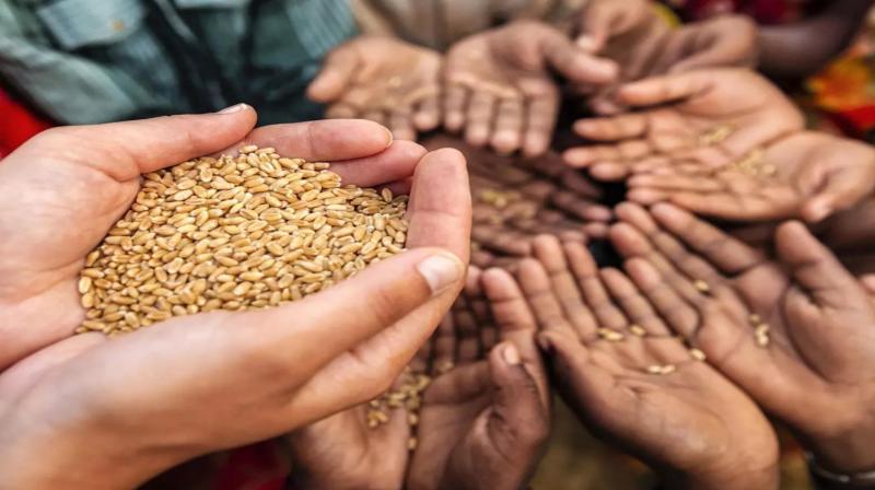 Union Cabinet decides to extend free foodgrains scheme for five years