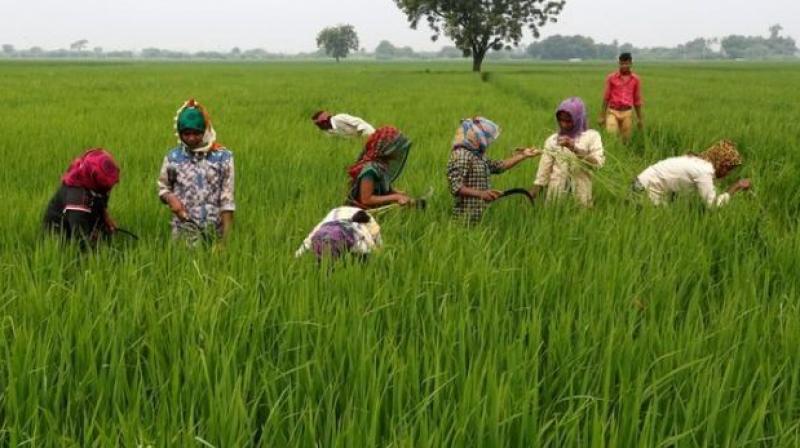 Budget 2019 farmer expectations with modi government