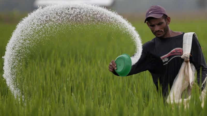 Fertilizers to turn 10% costlier as potash rates rise