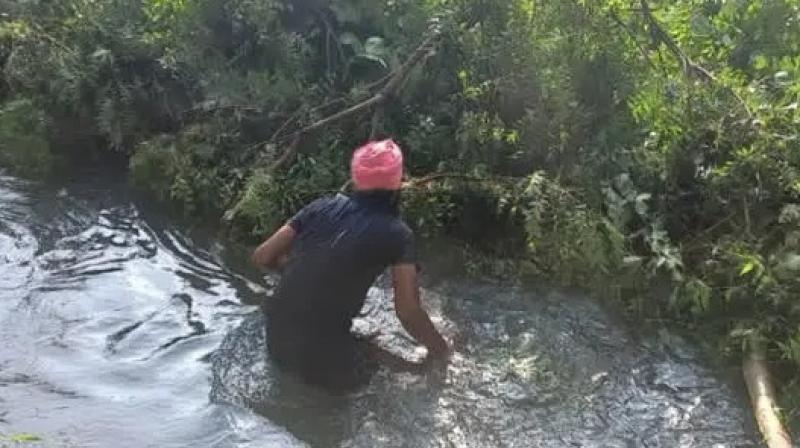 A breach in the canal of village Ahlupur, 40 acres of farmers' crops were destroyed A breach in the canal of village Ahlupur, 40 acres of farmers' crops were destroyed