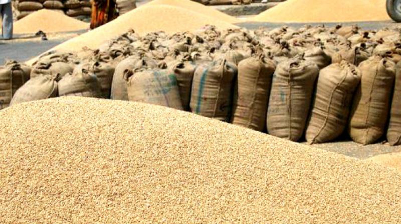 Faridkot grain market Faridkot grain market
