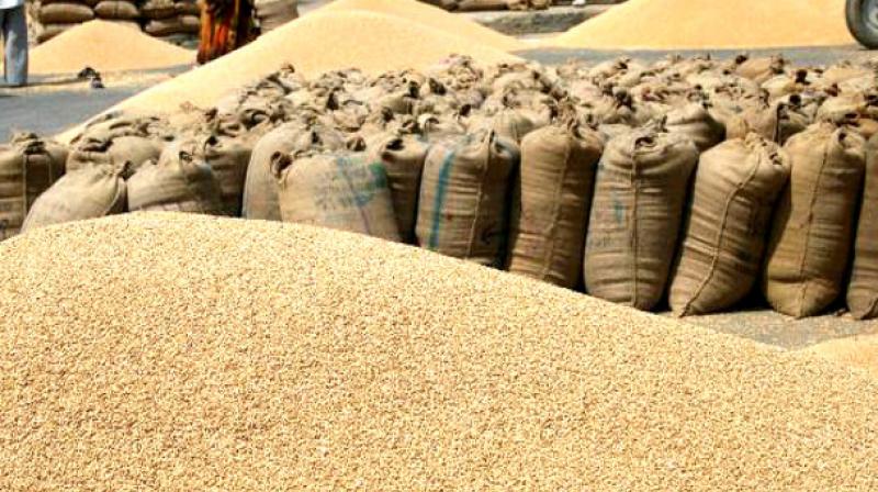 Faridkot grain market