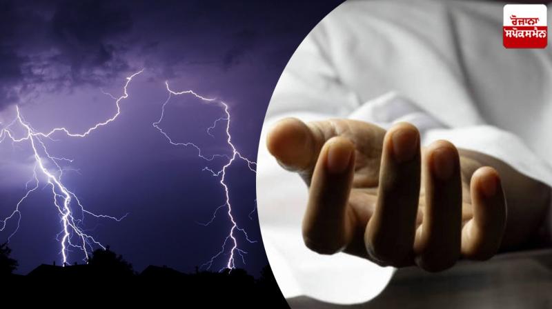 Farmer died on the spot due to lightning strike in Fazilka News in punjabi