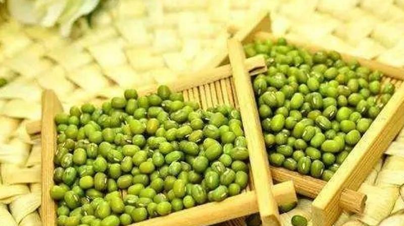 CM Mann announces MSP on Moong pulses for Punjab farmers CM Mann announces MSP on Moong pulses for Punjab farmers