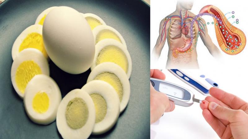 Eggs are beneficial for diabetic patients Eggs are beneficial for diabetic patients