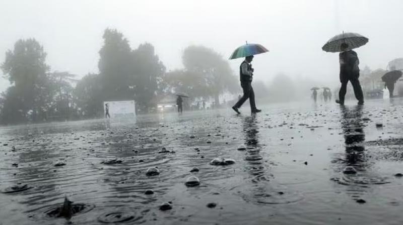 Punjab Weather Update