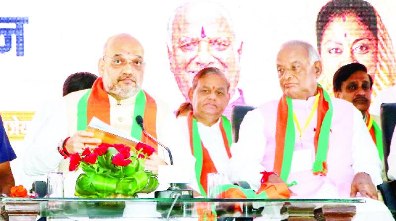 BJP President Amit Shah In Convenors' Conference