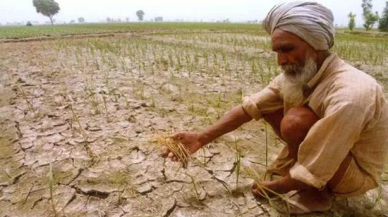 farmar farmar