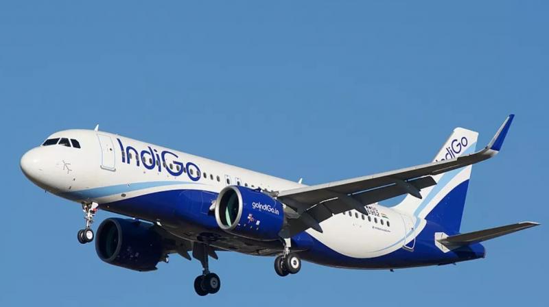 indigo airlines indigo airlines