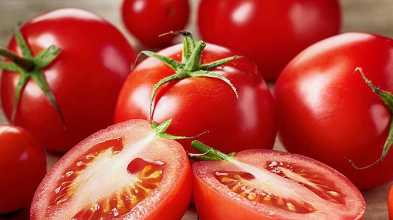 Tomato Tomato
