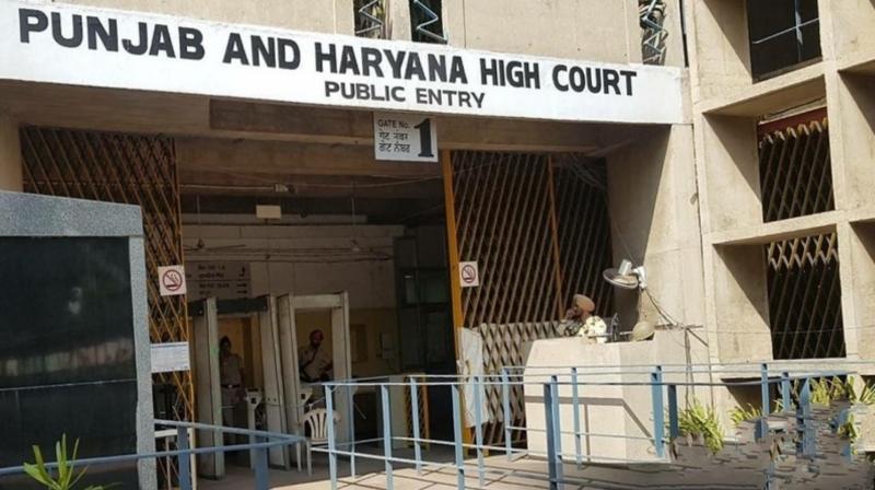 Punjab and Haryana High Court Punjab and Haryana High Court