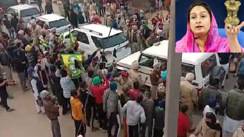 People showed black flags to Harsimrat Badal People showed black flags to Harsimrat Badal