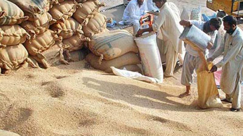 Procurement of wheat Procurement of wheat