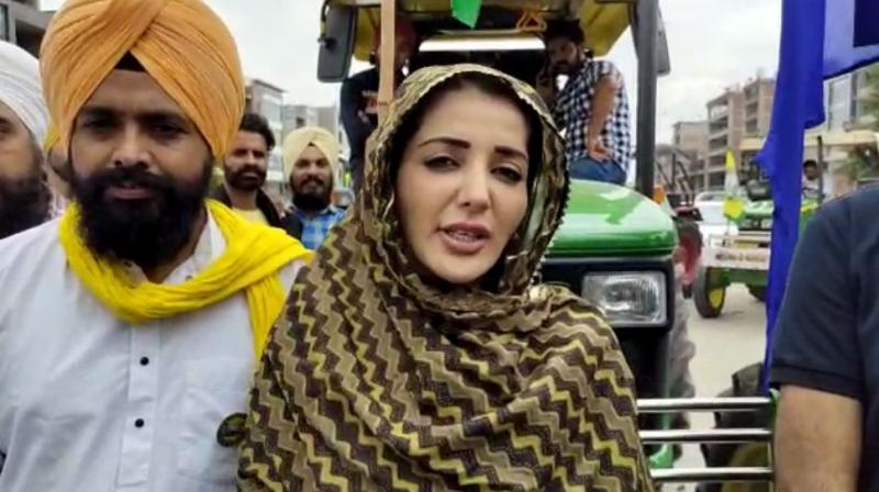 Sonia Mann Sonia Mann