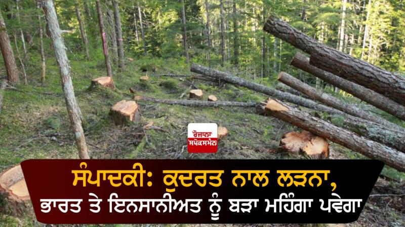 Cut tree Cut tree