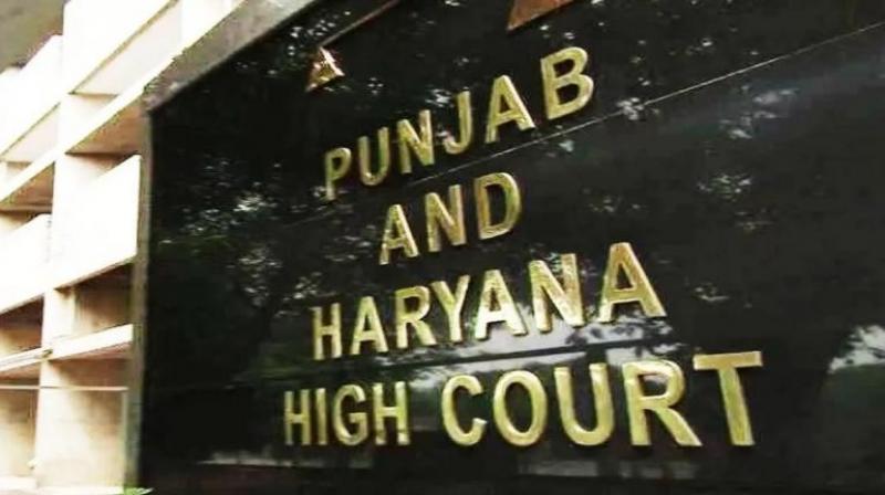 Punjab Haryana High Court