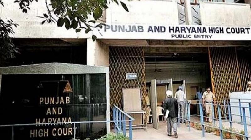 Punjab & Haryana High Court Punjab & Haryana High Court