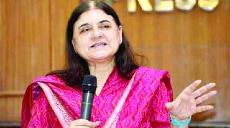 Menka Gandhi Menka Gandhi