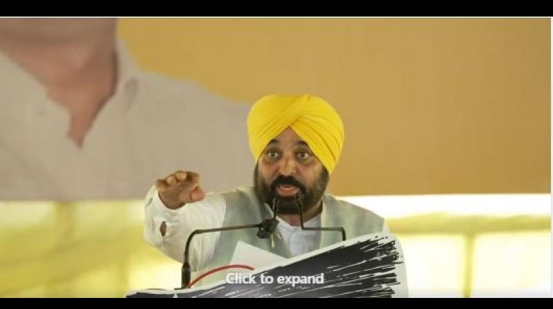 CM Bhagwant Mann Haryana Rally CM Bhagwant Mann Haryana Rally