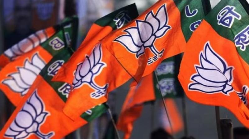 Bjp Bjp