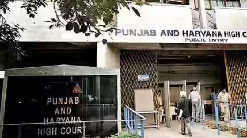Punjab and Haryana high Court Punjab and Haryana high Court