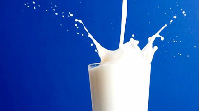 Milk Milk