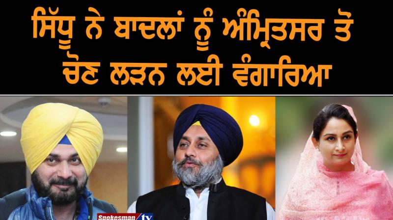 Sidhu has challenged Badal to contest from Amritsar Sidhu has challenged Badal to contest from Amritsar