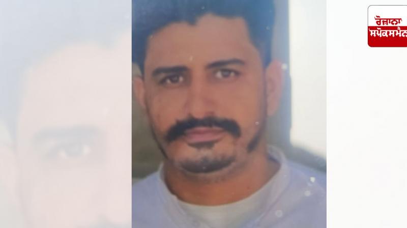 Body of a young man found in bushes near railway lines Body of a young man found in bushes near railway lines