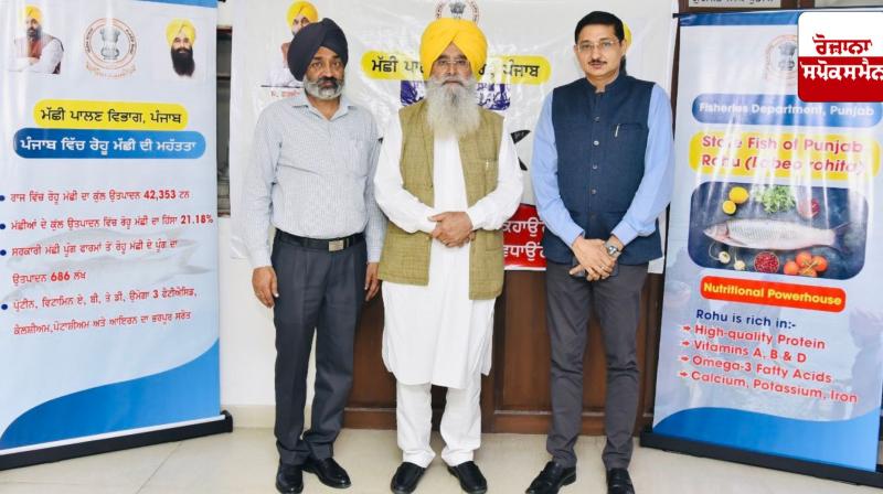 Punjab Government declares  Punjab Government declares