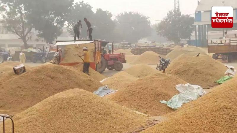 More than 150 metric tonnes of paddy has reached Punjab markets so far