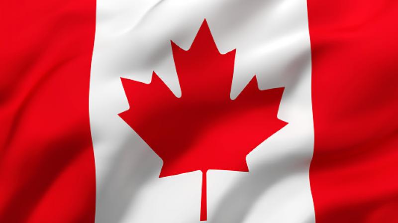 Punjabi leader among Indians seeking asylum in Canada Punjabi leader among Indians seeking asylum in Canada