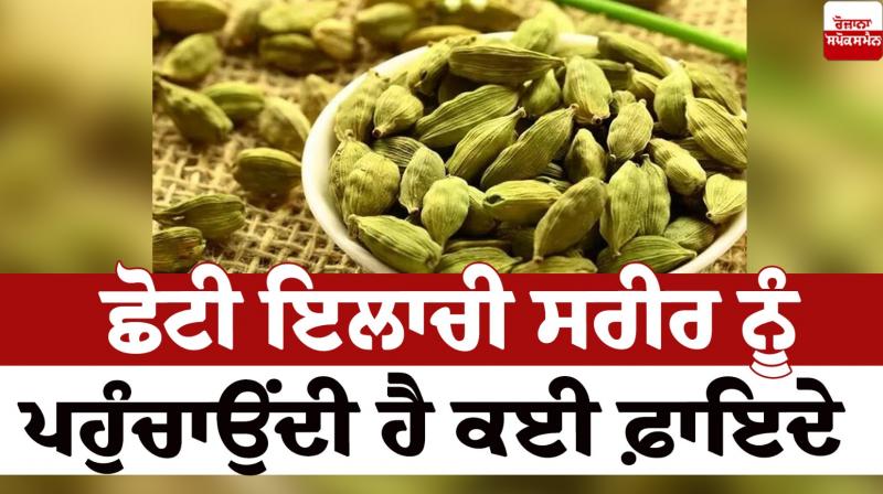 Small cardamom benefits health News in punjabi