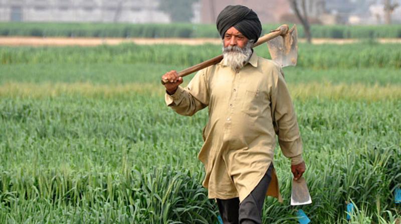 ਪੀਲੀ ਕੁੰਗੀ ਦੀ ਰੋਕਥਾਮ ਪੀਲੀ ਕੁੰਗੀ ਦੀ ਰੋਕਥਾਮ