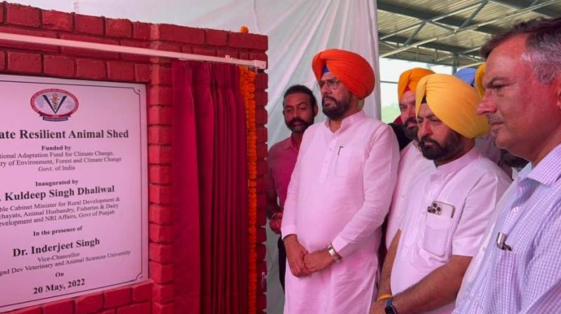 Kuldeep Singh Dhaliwal Kuldeep Singh Dhaliwal