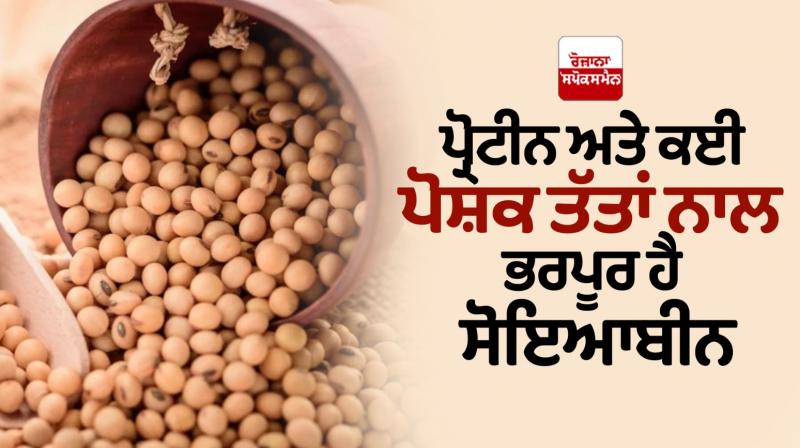 Soybean Benefits For Health