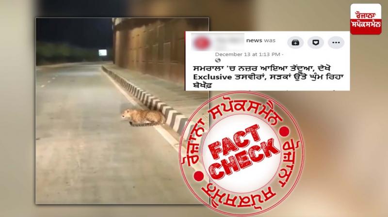 Fact Check Old video of Leopard roaming in Karnataka shared in the name of Punjab Samrala
