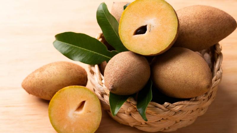 Chikoo is very beneficial for the body Chikoo is very beneficial for the body