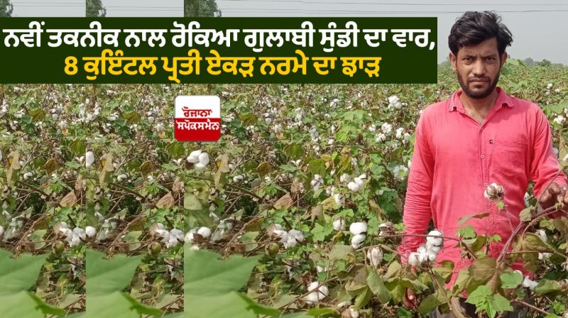 Farmer File Photo Farmer File Photo
