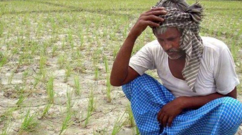 The situation of 26 lakh farmers with a production of 63,000 crores is slim