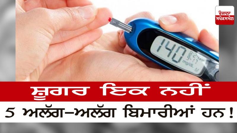 Diabetes is not one, there are 5 different diseases! Diabetes is not one, there are 5 different diseases!