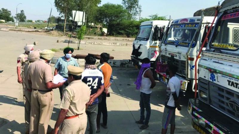 Shambhu police seized trucks carrying wheat from other states Shambhu police seized trucks carrying wheat from other states