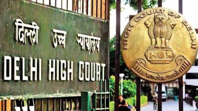 Delhi high court will hear the petition of wrestlers against wfi elections Delhi high court will hear the petition of wrestlers against wfi elections