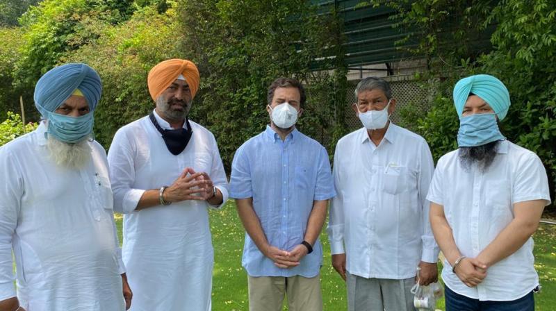 Rahul Gandhi, sukhpal Khiara, Harish Rawat Rahul Gandhi, sukhpal Khiara, Harish Rawat