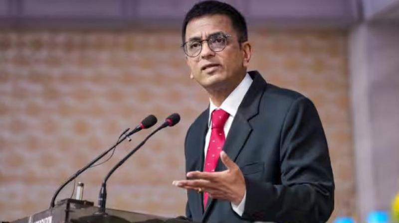 SC Will Share Info About Filing And Listing Of Cases Through WhatsApp: CJI SC Will Share Info About Filing And Listing Of Cases Through WhatsApp: CJI