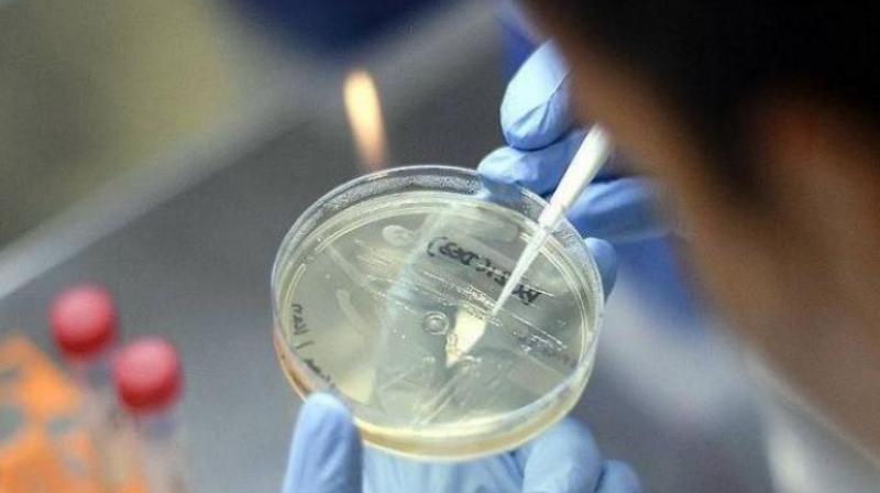 corona Virus corona Virus