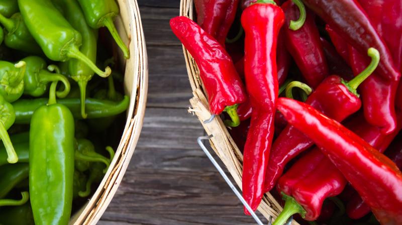 Red Peper Red Peper