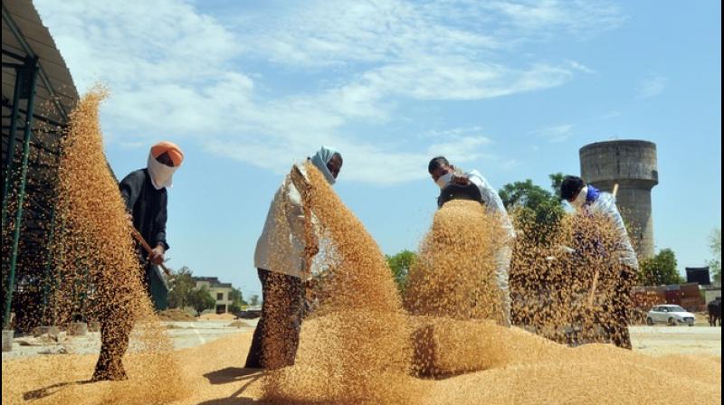 Paddy Procurement