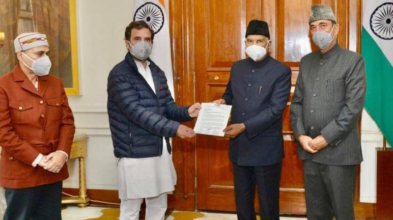 Rahul Gandhi meets President Rahul Gandhi meets President
