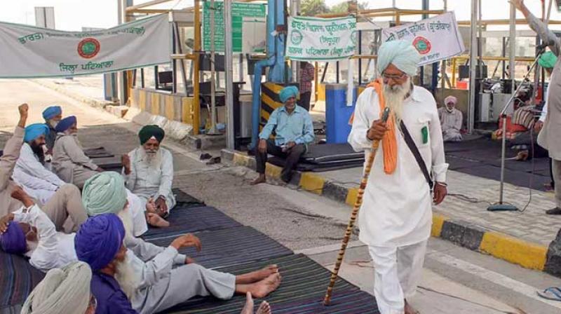 Farmers free toll plazas in Haryana